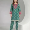 2 Piece Khaddar Suit-Embroidered_Pret