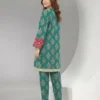 2 Piece Khaddar Suit-Embroidered_Pret